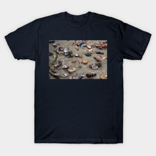 Beach Shells T-Shirt